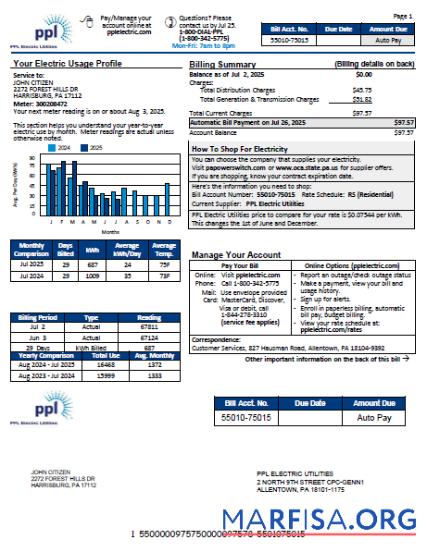Blank USA PPL Electric utility bill template in Word and PDF formats, version 3